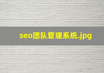 seo团队管理系统