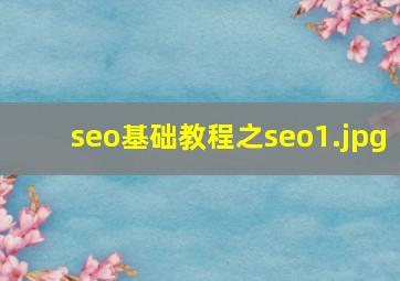 seo基础教程之seo