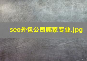 seo外包公司哪家专业