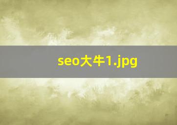 seo大牛