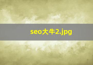 seo大牛