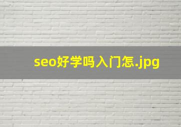 seo好学吗入门怎