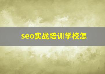 seo实战培训学校怎