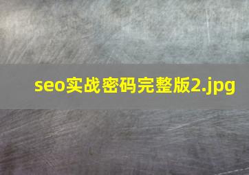 seo实战密码完整版