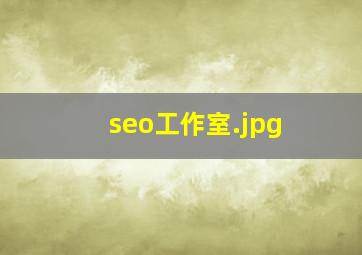 seo工作室