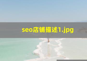 seo店铺描述