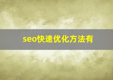seo快速优化方法有