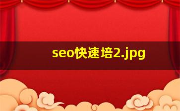 seo快速培