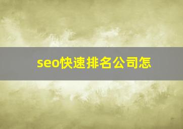 seo快速排名公司怎