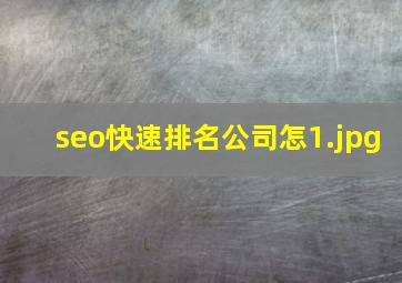 seo快速排名公司怎