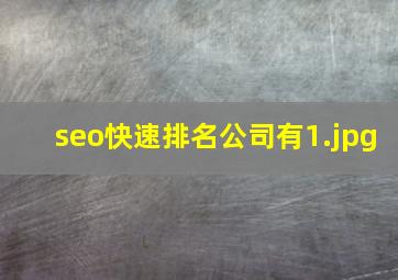seo快速排名公司有