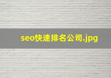 seo快速排名公司