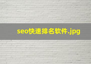 seo快速排名软件