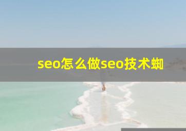 seo怎么做seo技术蜘