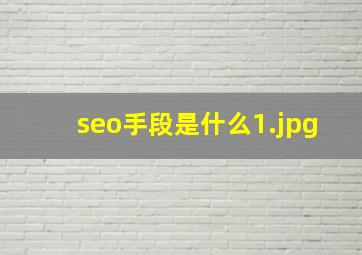 seo手段是什么