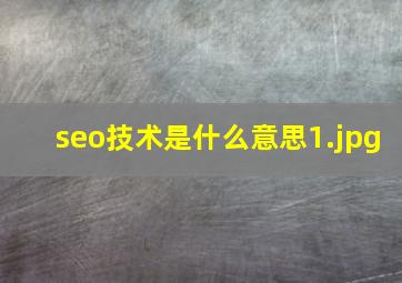 seo技术是什么意思