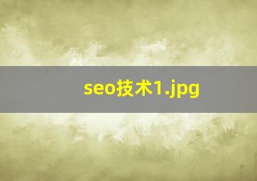 seo技术