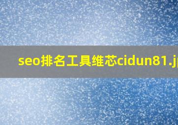 seo排名工具维芯cidun8