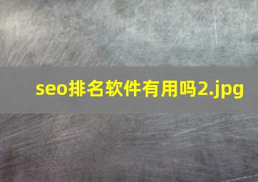 seo排名软件有用吗