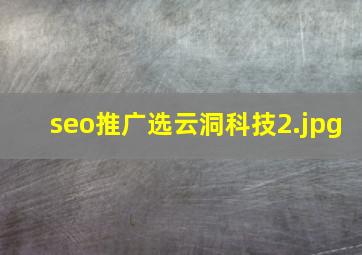 seo推广选云洞科技