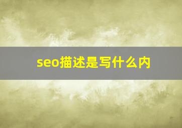 seo描述是写什么内