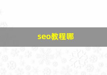 seo教程哪
