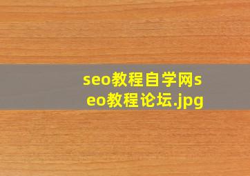 seo教程自学网seo教程论坛