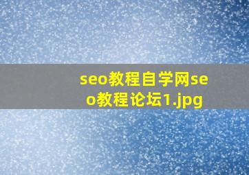seo教程自学网seo教程论坛