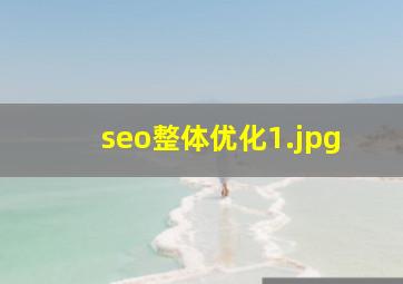 seo整体优化