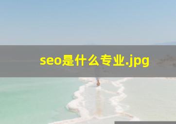seo是什么专业