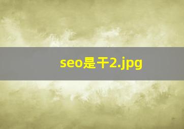 seo是干