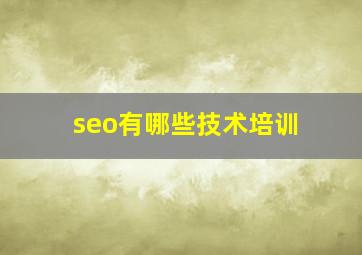 seo有哪些技术培训