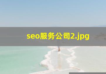 seo服务公司