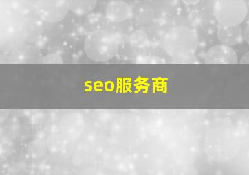 seo服务商 
