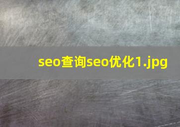 seo查询seo优化