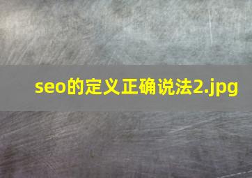 seo的定义正确说法