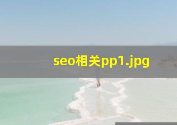 seo相关pp