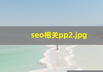 seo相关pp