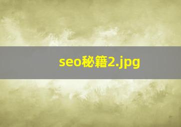 seo秘籍