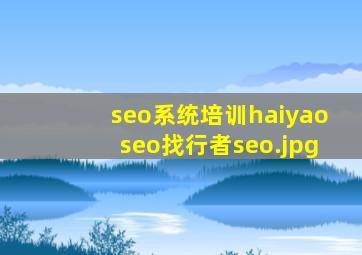 seo系统培训haiyaoseo找行者seo