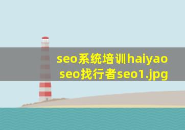 seo系统培训haiyaoseo找行者seo