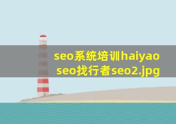 seo系统培训haiyaoseo找行者seo
