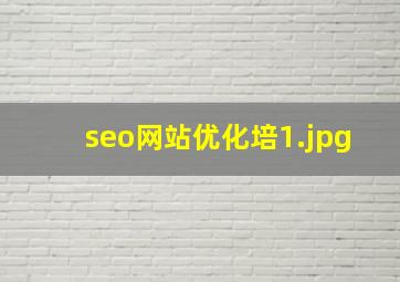 seo网站优化培