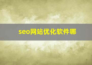 seo网站优化软件哪