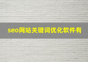 seo网站关键词优化软件有