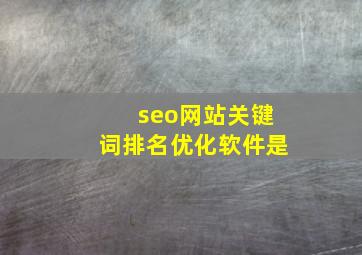 seo网站关键词排名优化软件是