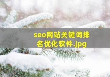 seo网站关键词排名优化软件
