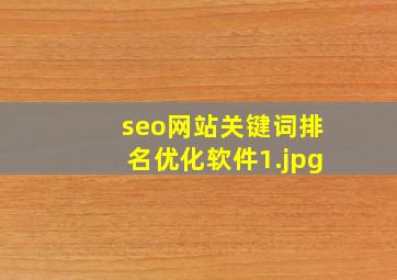 seo网站关键词排名优化软件