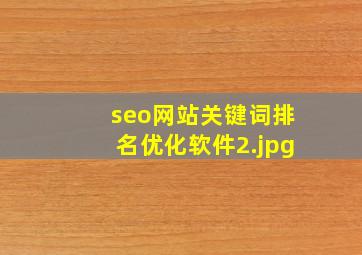 seo网站关键词排名优化软件