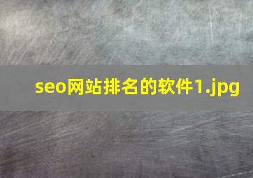 seo网站排名的软件